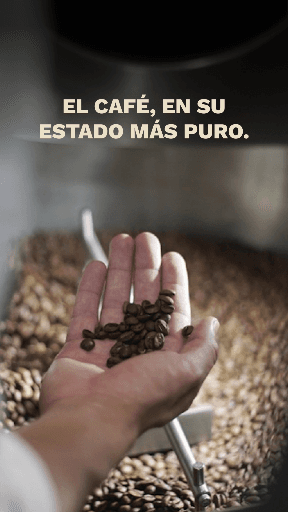 Juan Icono